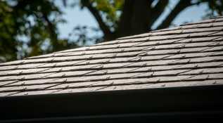 Média réf. 7033 (30/134): 